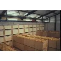 Система контейнерного хранения лука